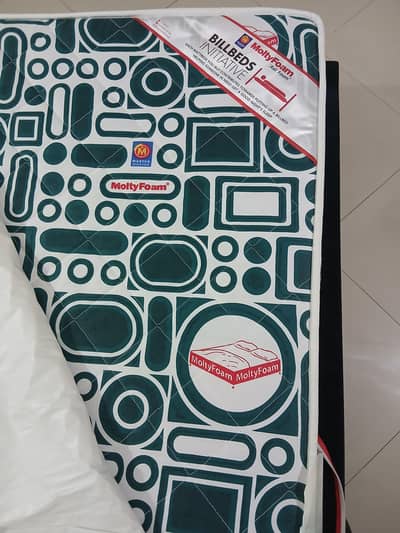 MOLTY ECO KING SIZE 6INCH