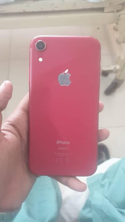 iPhone xr pta approved official 64 GB all okay no any fault