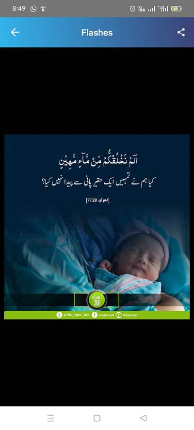 BBS expert and Quantity surveyor