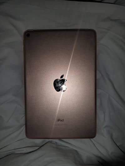 pubg lover ipad mini 5 64Gb
