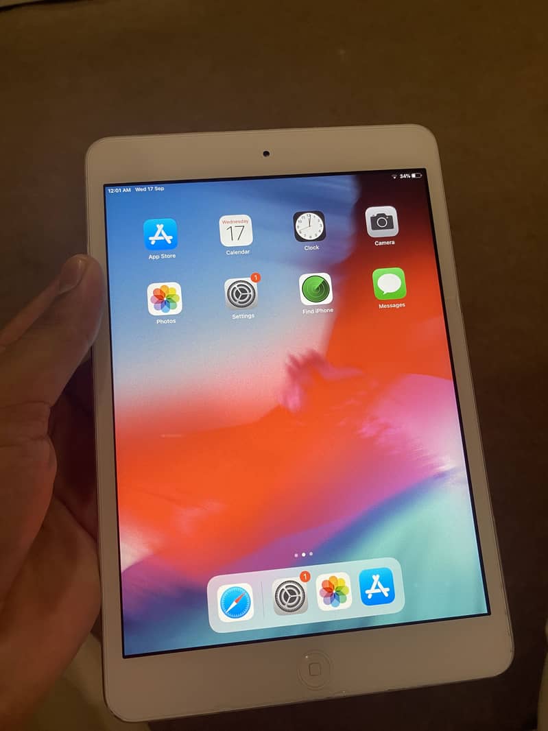 iPad mini 2 0