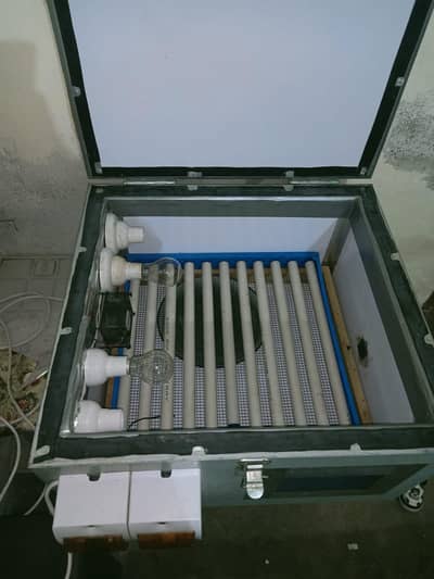 matal body 70 ado wala incubator