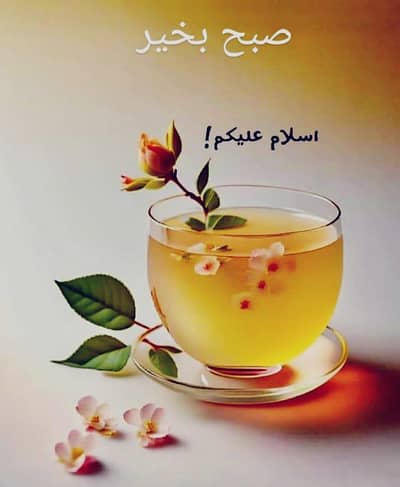 iam ready for u -job-