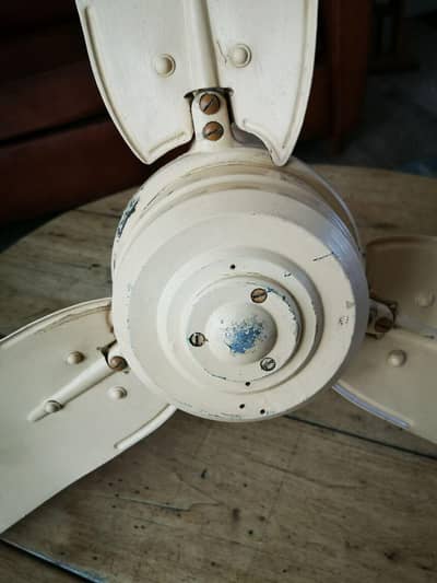 imported antique Fan