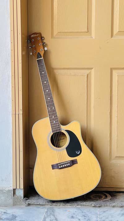 Brand new acoustic guitar