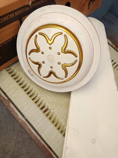 fan super Asia for sale completely janian