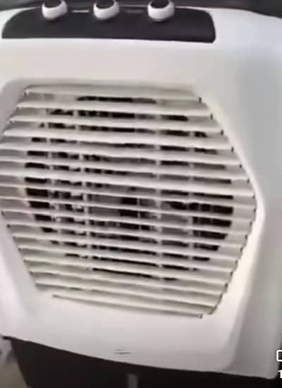 Royal jumbo Sir Cooler