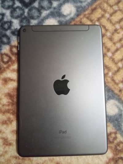 iPad mini 5