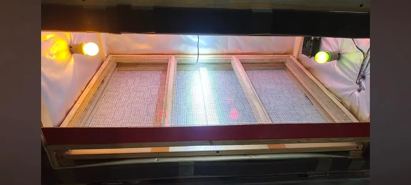 Brooder - Energy Saver. 20 Watt.  60 chicks
