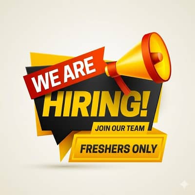 Chat Support Executive