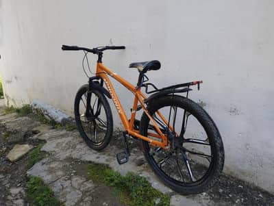 03407304786 WhatsApp