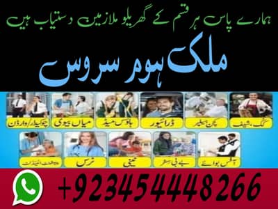 PROFESSIONAL MAID BABY SITTER PATIENT ATTENDENT COOK HELPER CHEF NURSE