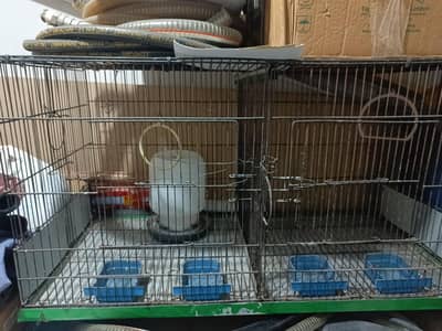 birds cage sale