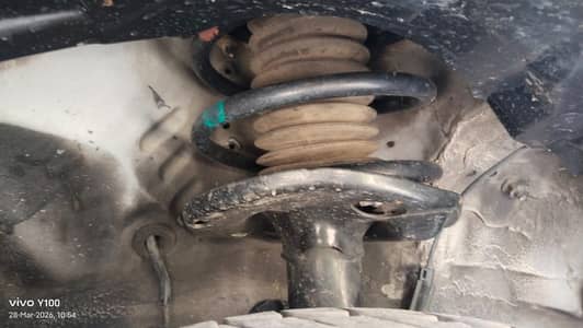 Carola altis super white