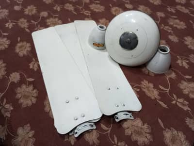 is number par call karna agar Lana ho 03036956682