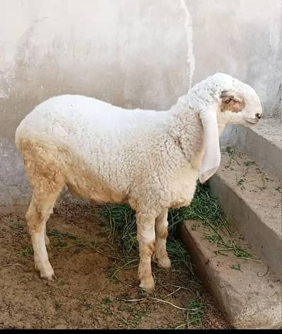 Looking so beautiful