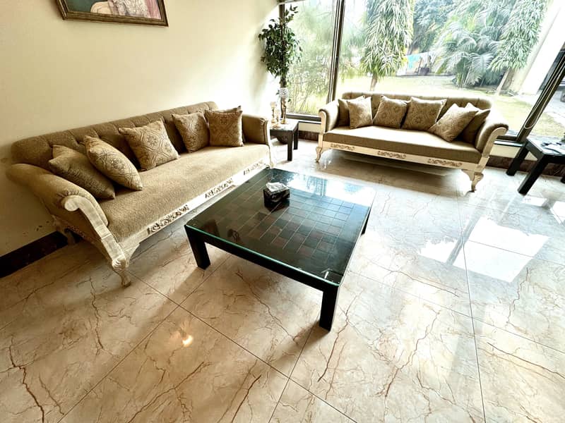 Classy  design sofa set 2