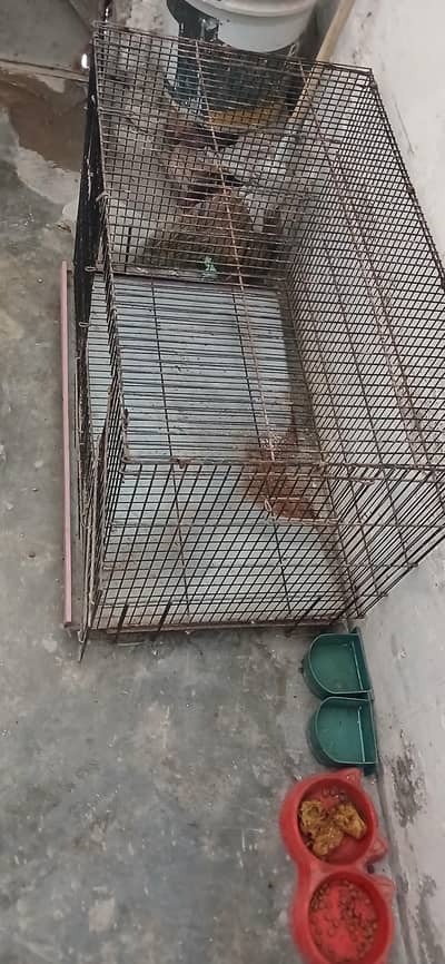 Cage for sale