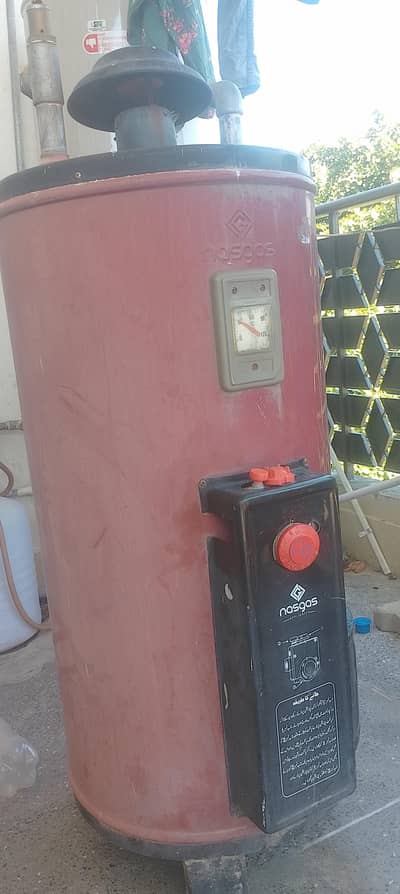 Nesgas Geyser 25 Gallon