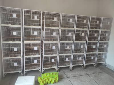 Angle cages 4 Portions