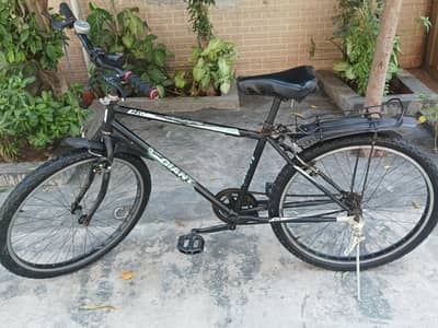 Giant full size cycle