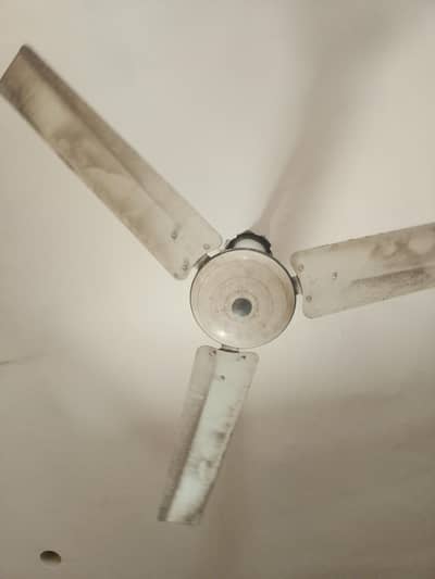 selling fan