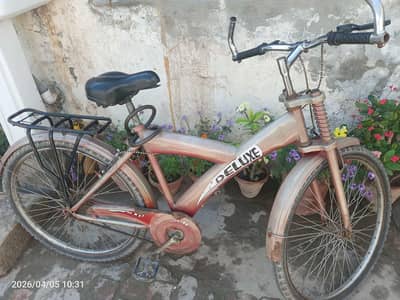 Deluxe Cycle