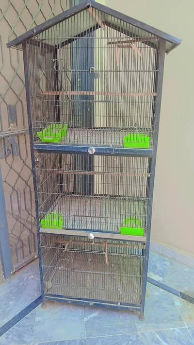 birds cage
