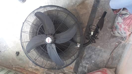 bracket royal fan  -  03335948418