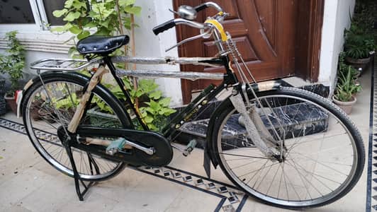 Retro lover phoenix bycycle