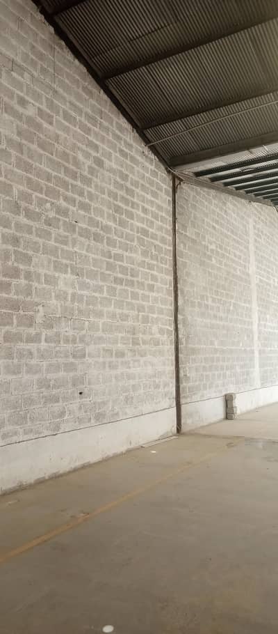 used blacks for sale