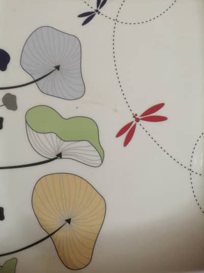 Professional fast food chef