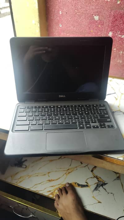 dell 3100 touch