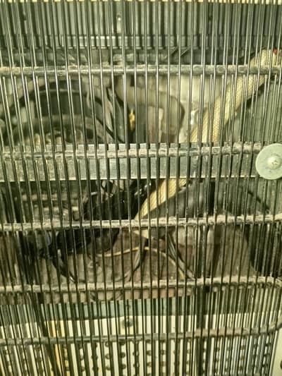 orient water dispenser