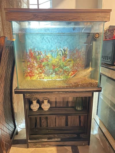 Fish Aquarium For Sale