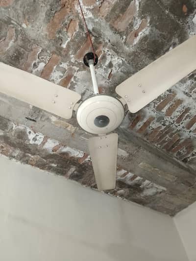 ceiling fan for sale