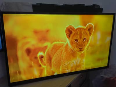 SAMSUNG 40" INCH  LCD LED TV. . . . .