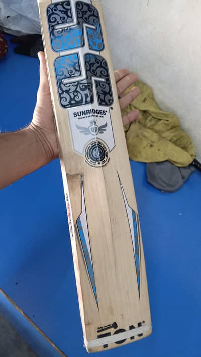 original English willow bat one month use