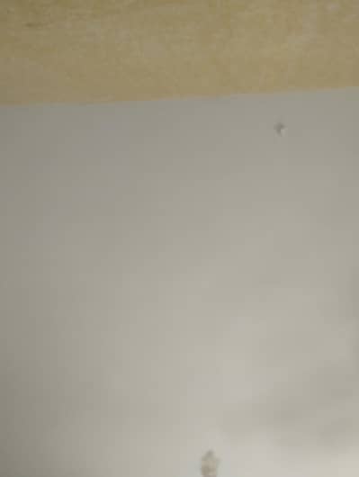 driver needed- near sharfabad