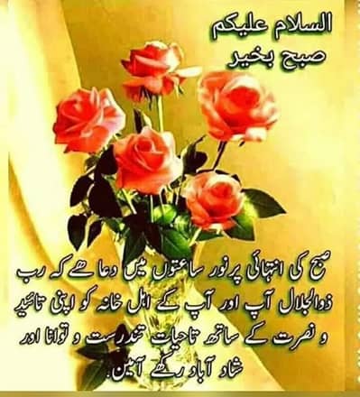 Domestic All Works- 03201212249