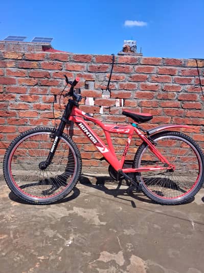 Cycle 26 Inches - Lush Condition