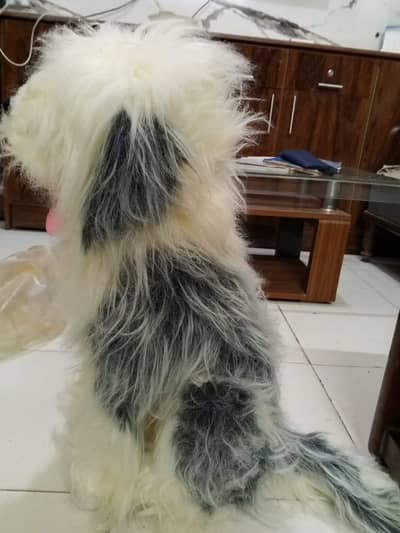 NEW TOY DOG WITH BAG