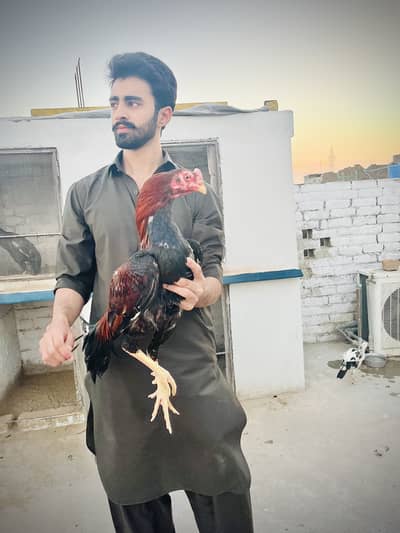 Abdulrehman