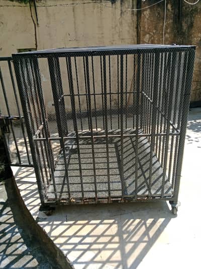 doge cage