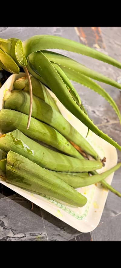 fresh aloe Vera gell and plant leaves