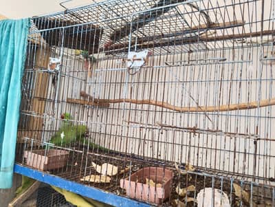 1 jora he or 1 madi he