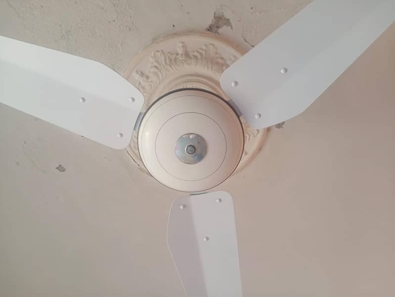 ceiling fan 2