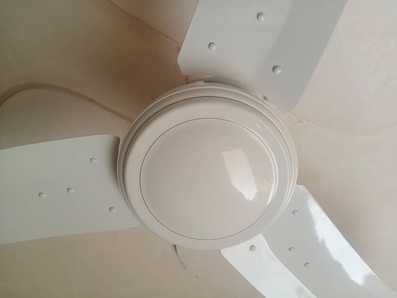 ceiling fan 3