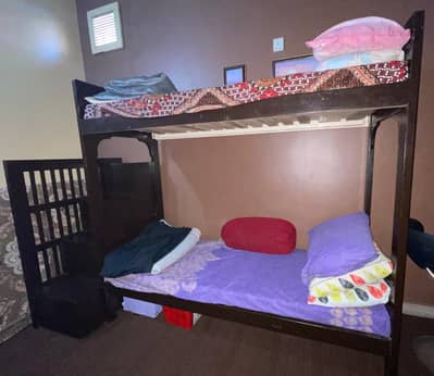 shesheem wood bunker bed