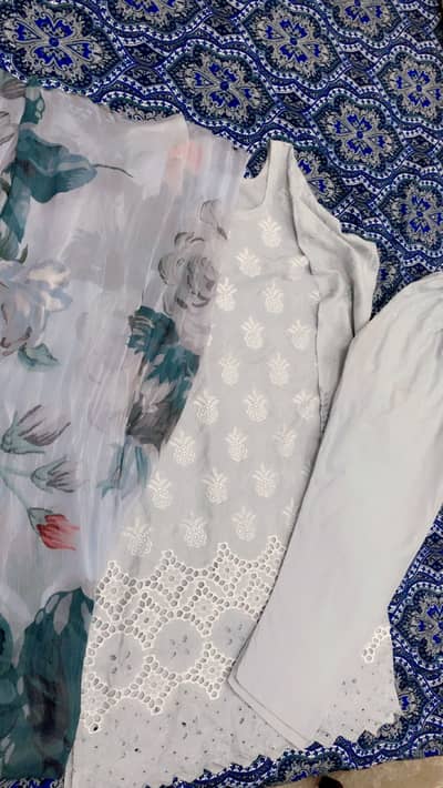 Edenrobe chikan kari suit